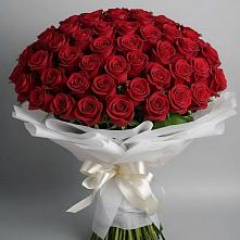 Букет 101 Красная роза Блэк Мэджик #REPLACE_PRED# Снежногорске