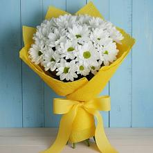 Букет цветов из:  Хризантемы в Снежногорске