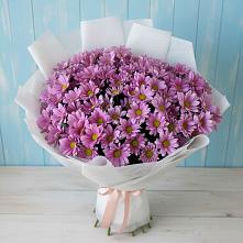Букет цветов из:  Хризантемы в Снежногорске