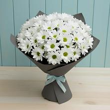 Букет цветов из:  Хризантемы #REPLACE_PRED# Снежногорске