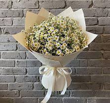 Букет цветов из:  Ромашки #REPLACE_PRED# Снежногорске