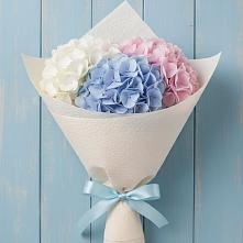 Букет цветов из:  Гортензия в Снежногорске