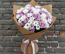 Букет цветов из:  Хризантемы в Снежногорске