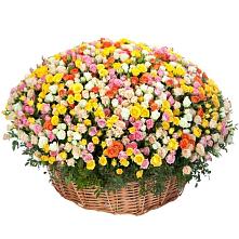 Премиум букет из: Розы #REPLACE_PRED# Снежногорске