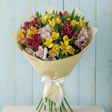Букет цветов из:  Альстромерии #REPLACE_PRED# Снежногорске