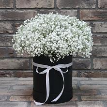 Цветочная композиция из Гипсофила в шляпной коробке в Снежногорске