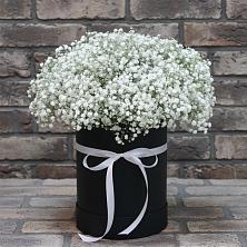 Цветочная композиция из Гипсофила в шляпной коробке в Снежногорске