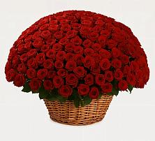 Премиум букет из: Розы в Снежногорске