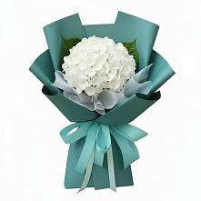 Букет цветов из:  Гортензия #REPLACE_PRED# Снежногорске